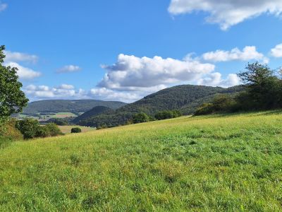 D10 Elmshäuser Zeitreise