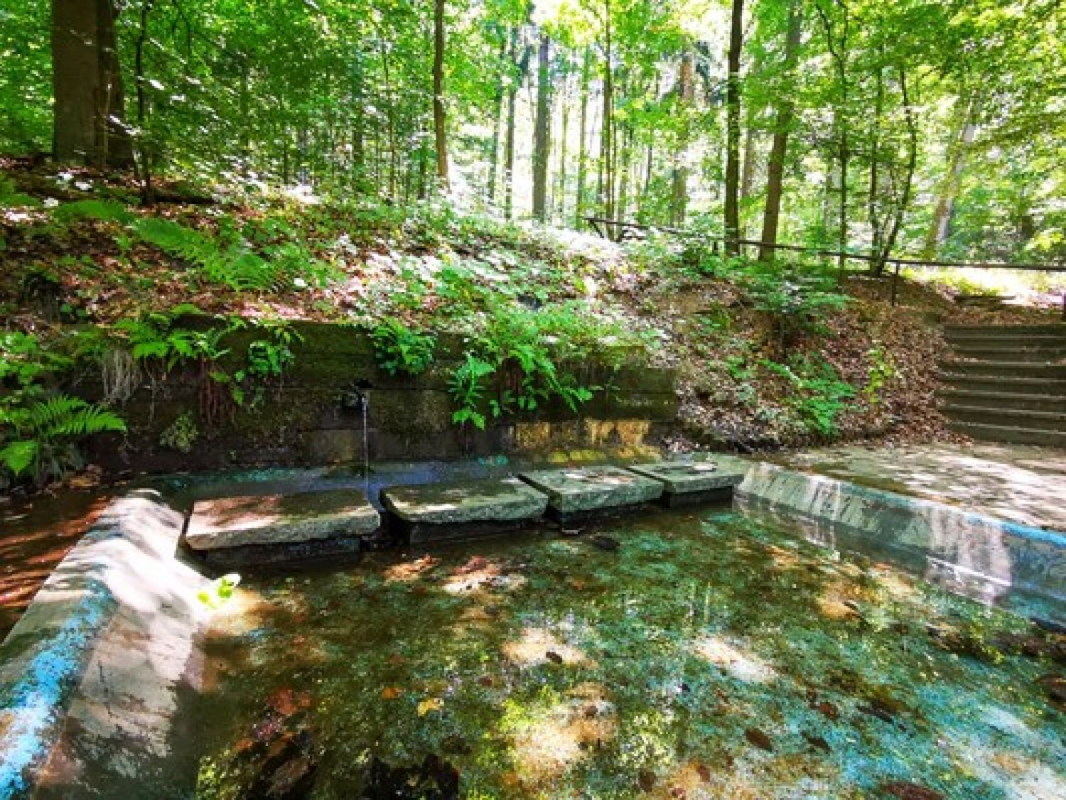 Jungfernbrunnen Buchenau