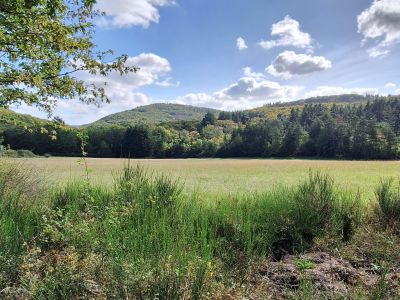 D10 Elmshäuser Zeitreise