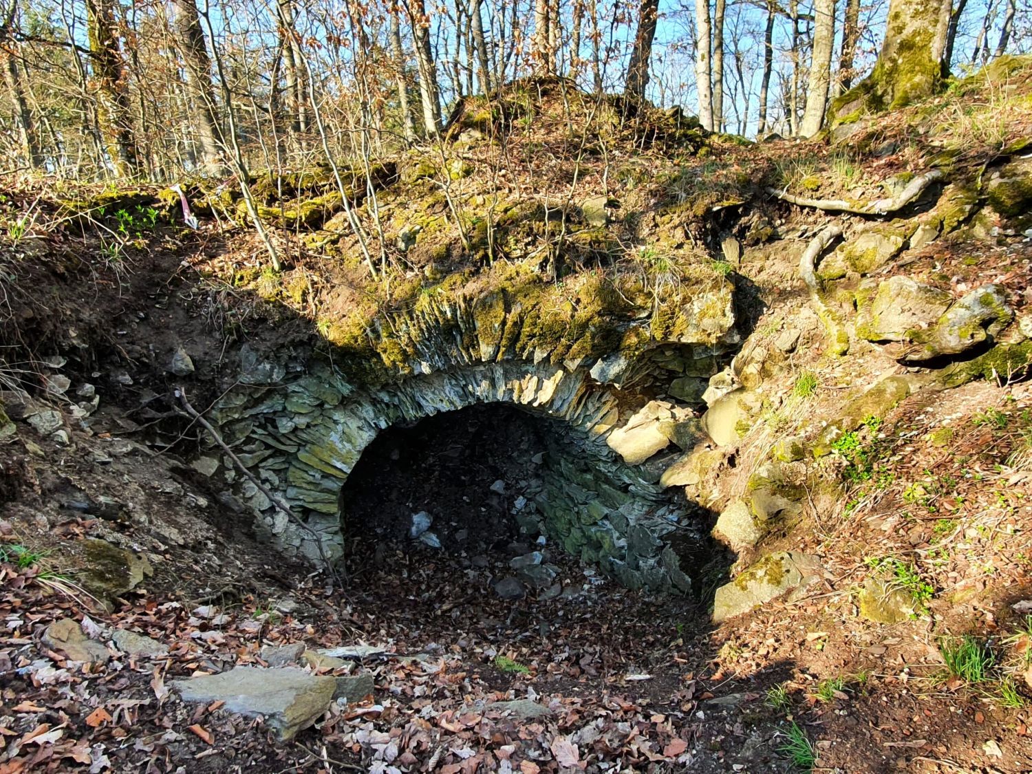 Burgruinen Hohenfels